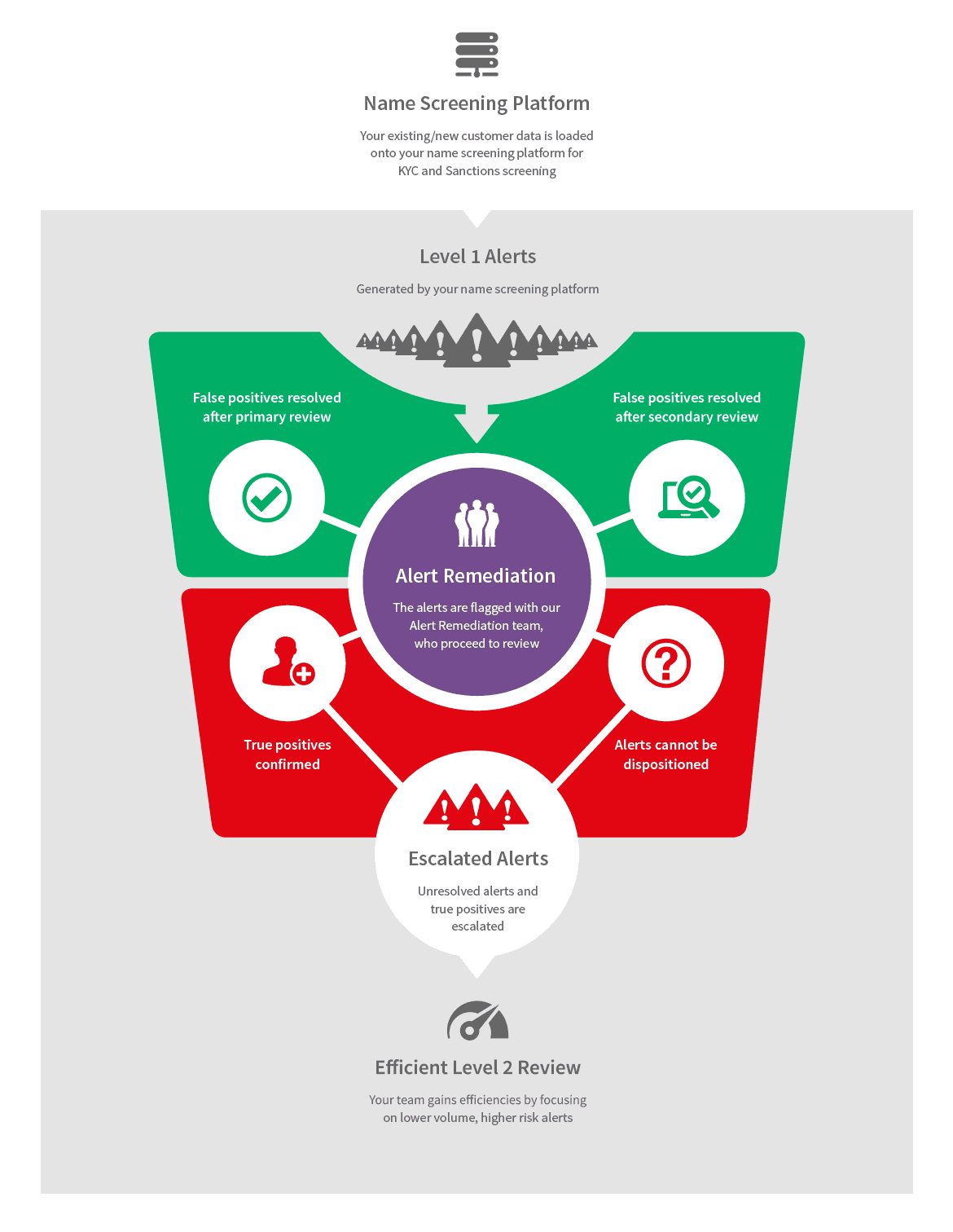 Infographic